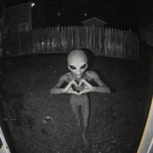 Xxx video